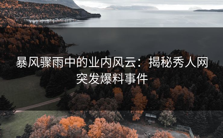 暴风骤雨中的业内风云：揭秘秀人网突发爆料事件