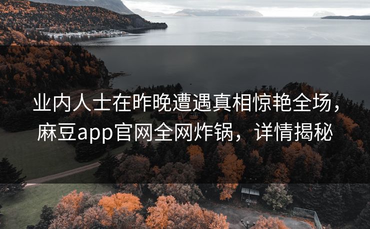 业内人士在昨晚遭遇真相惊艳全场，麻豆app官网全网炸锅，详情揭秘